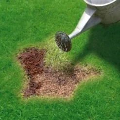 Miracle-Gro Patch Magic Grass Seed, Feed & Coir 1.1kg -Cheap A Fresh Garden Store 245940 miracle gro patch magic grass seed feed and coir 3