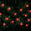B&M 30 Insect Solar String Lights - Ladybird