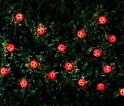 B&M 30 Insect Solar String Lights - Ladybird