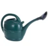 B&M Ward Watering Can With Rose 10L