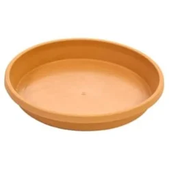 B&M Ascot Saucer Terra - Large