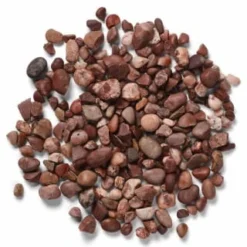 B&M Classic Pink -Cheap A Fresh Garden Store 348162 classic pink1