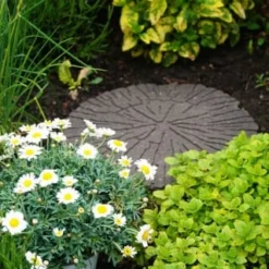 B&M Cracked Log Stepping Stone Earth -Cheap A Fresh Garden Store 383781 cracked log 2