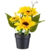 B&M Sunflower Plant Pot