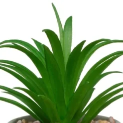 B&M Assorted Small Concrete Succulents -Cheap A Fresh Garden Store 394713 small concrete succulent 2