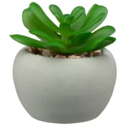 B&M Assorted Small Concrete Succulents -Cheap A Fresh Garden Store 394713 small concrete succulent 3