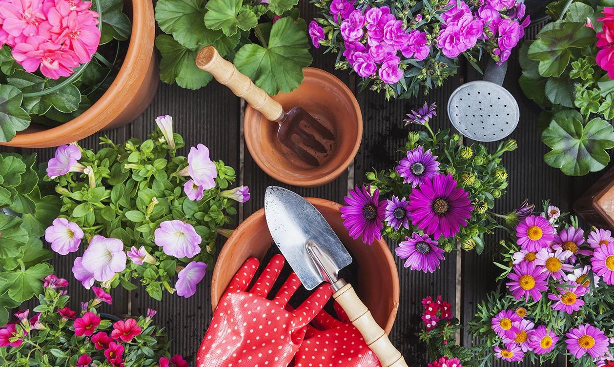 Cheap A Fresh Garden Store -Cheap A Fresh Garden Store best gardening tools amazon 1520283471